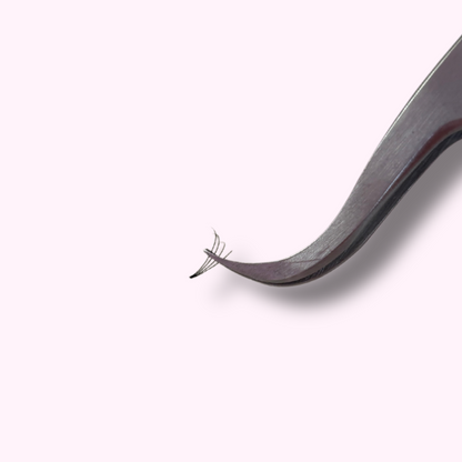 4D Short Stem Lash Tray, 0.07, D Curl - So-Phine Lashes