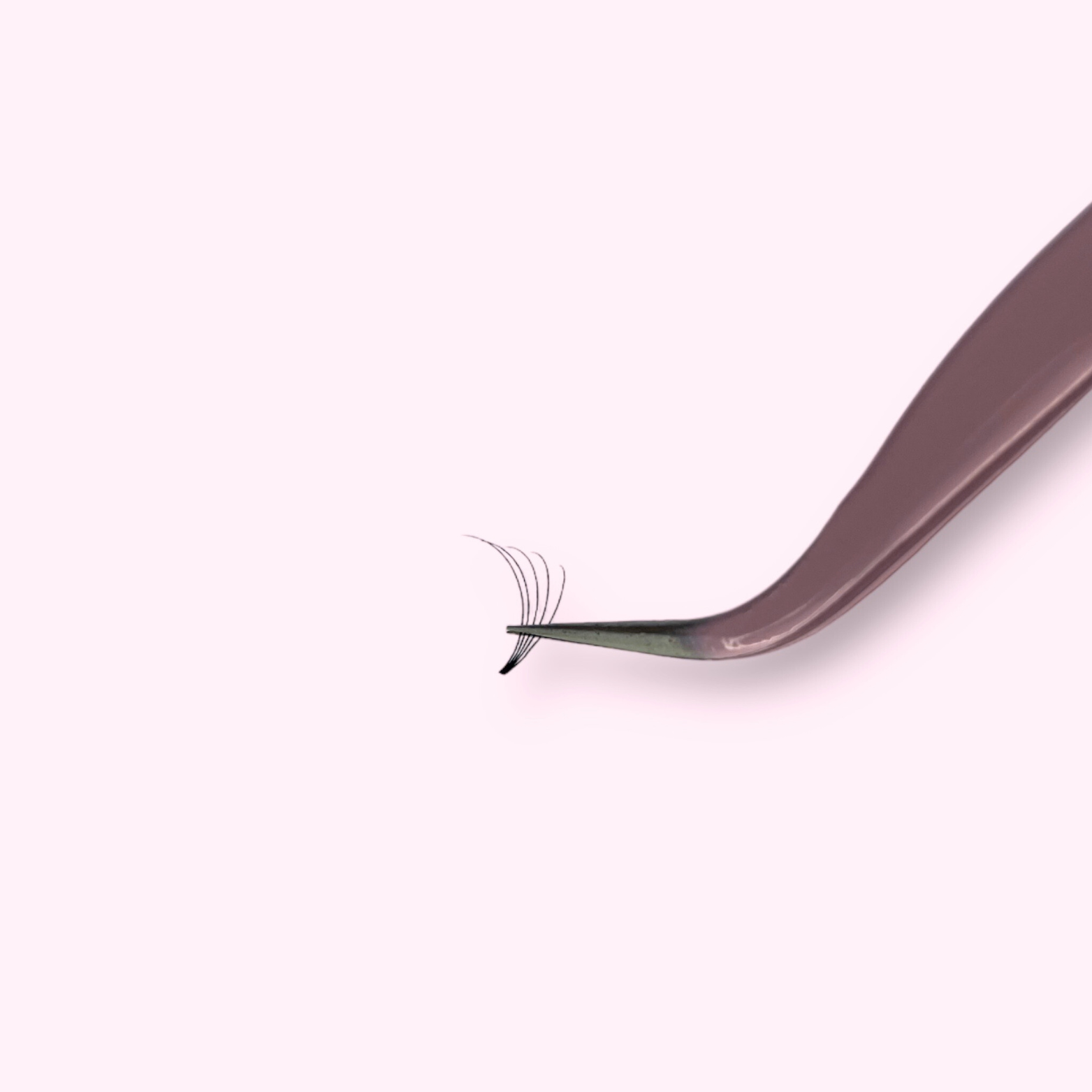 5D Short Stem Lash Tray, 0.10, D Curl - So-Phine Lashes